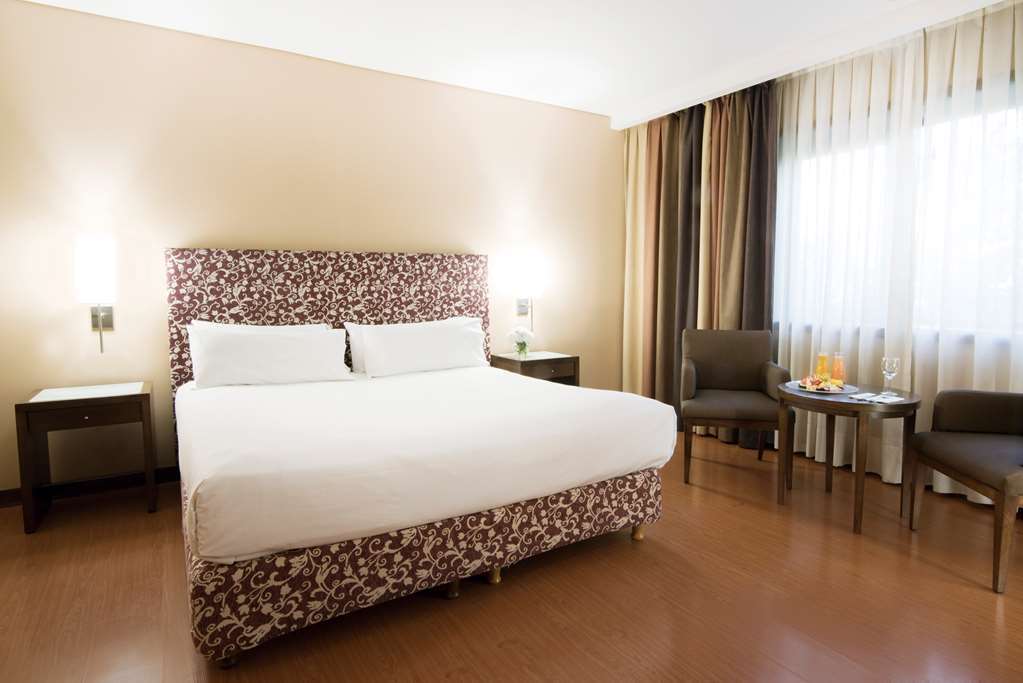 Nh Mendoza Cordillera Hotel Bagian luar foto